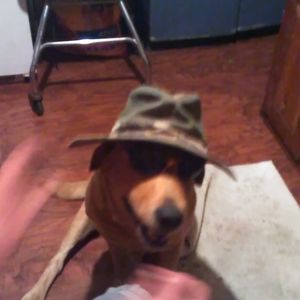 Meet your Posher, Randy